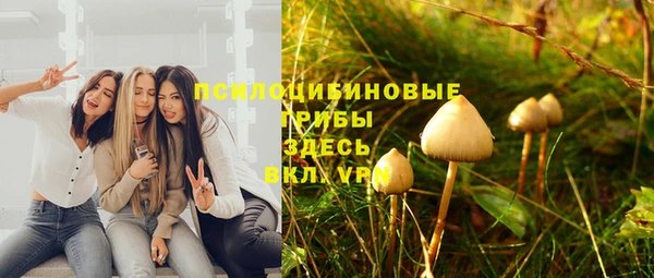 бутират Зеленодольск