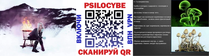 Купить закладки  Пролетарск  Псилоцибиновые грибы Psilocybine cubensis 